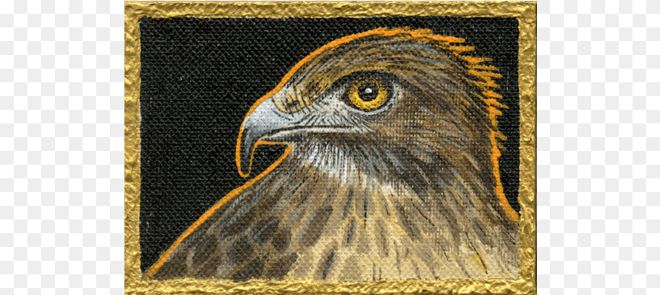 Winter Hawk Ii Golden Eagle, Animal, Beak, Bird, Reptile Png