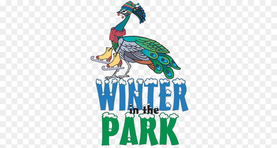 Winter In The Holiday Ice Skating Rink City Of Winter Park, Animal, Zoo, Beak, Bird Png