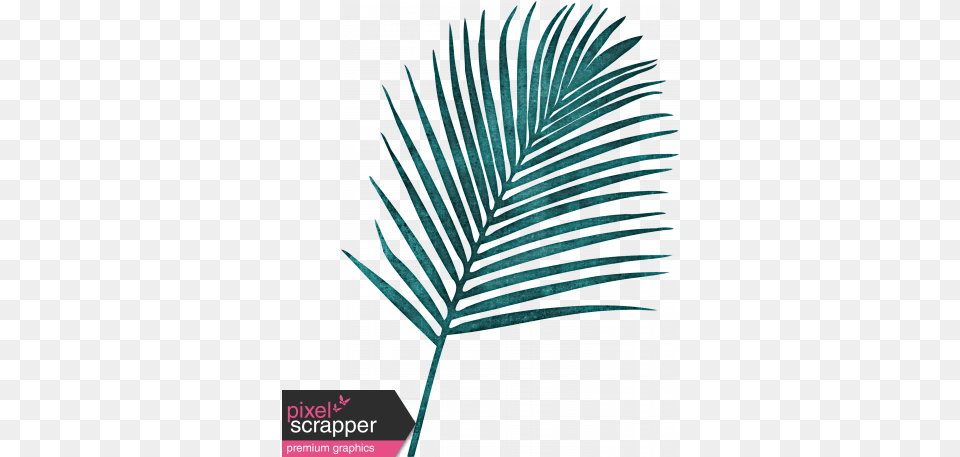 Winter In The Tropics Palm Leaf Graphic By Jessica Dunn Blue Palm Tree Leaf, Fern, Plant Png Image