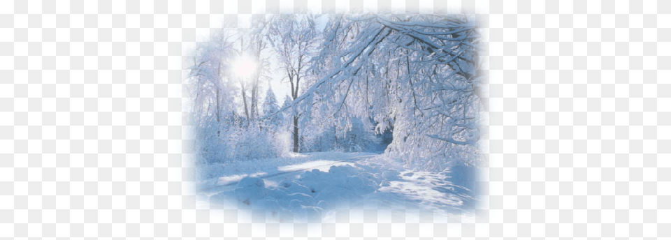 Winter Landscapejpg Snow Landscape, Nature, Outdoors, Woodland, Land Png Image
