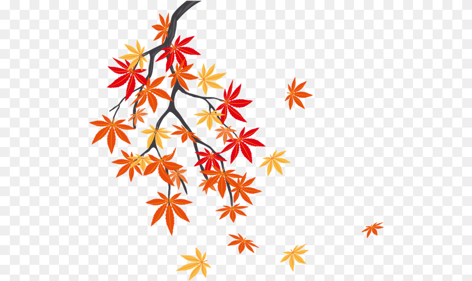 Winter Leaves, Leaf, Plant, Tree, Maple Free Png