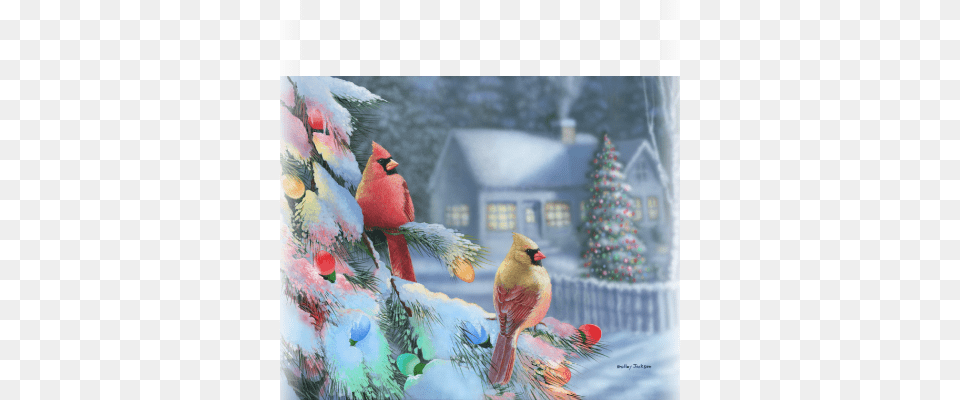 Winter Lights Christmas Snow Birds Finch And Cardinal, Animal, Bird, Plant, Tree Png Image