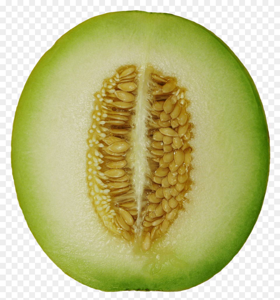 Winter Melon, Food, Fruit, Plant, Produce Free Transparent Png