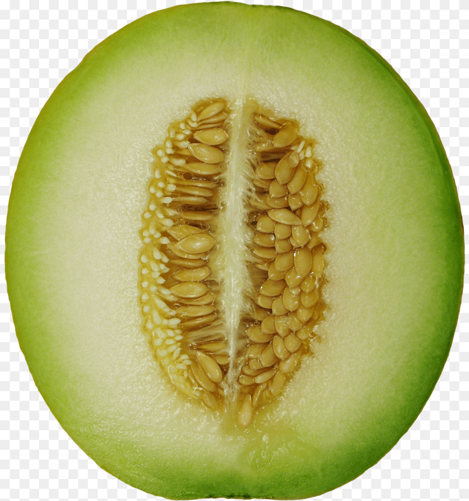 Winter Melon Image Winter Melon, Food, Fruit, Plant, Produce Free Png