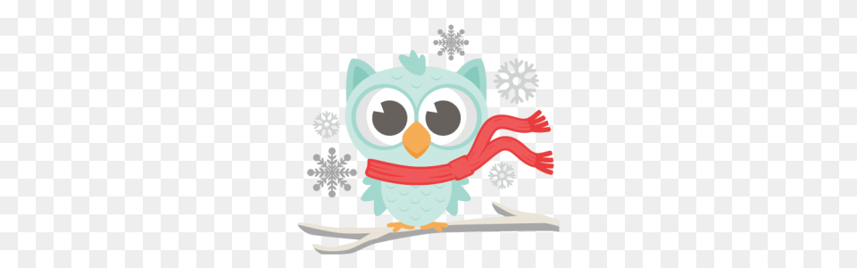 Winter Owl Owl Obsession Owl Winter And Clip Art, Nature, Outdoors, Snow Png Image