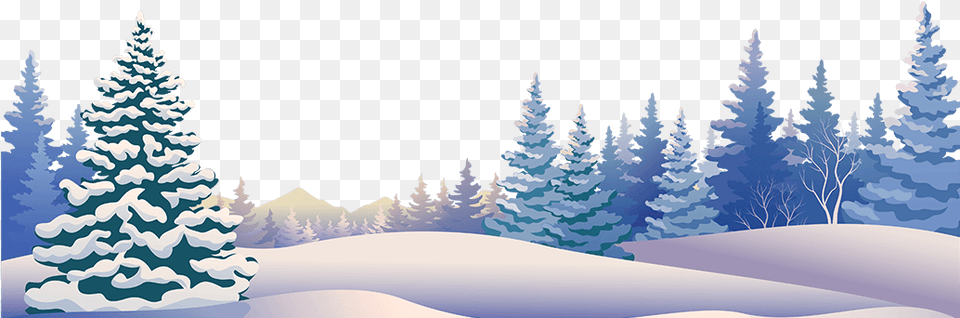 Winter Panoramic, Fir, Pine, Plant, Tree Free Transparent Png