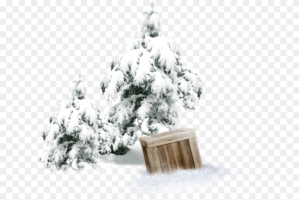 Winter Pine Wooden Box Download Pine Cover Snow Tree Transparent, Fir, Ice, Plant, Outdoors Free Png