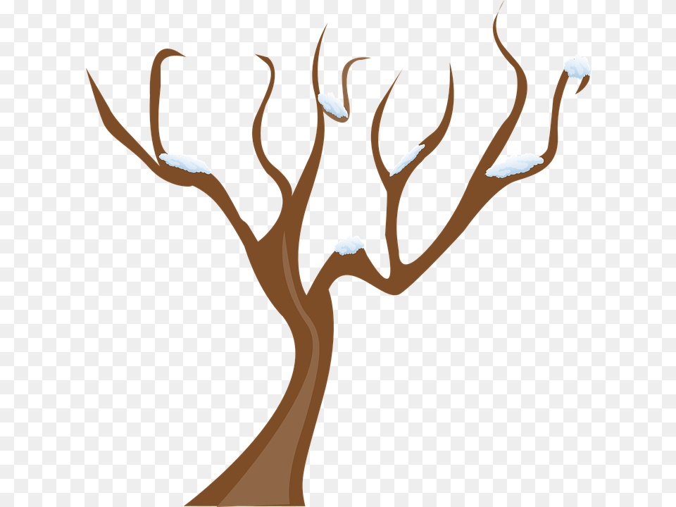 Winter Snow Clipart Cool, Antler, Plant, Tree, Outdoors Png Image
