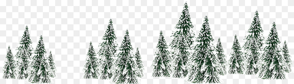 Winter Snow Spruce Tree White Snow Trees, Fir, Pine, Plant, Christmas Free Transparent Png