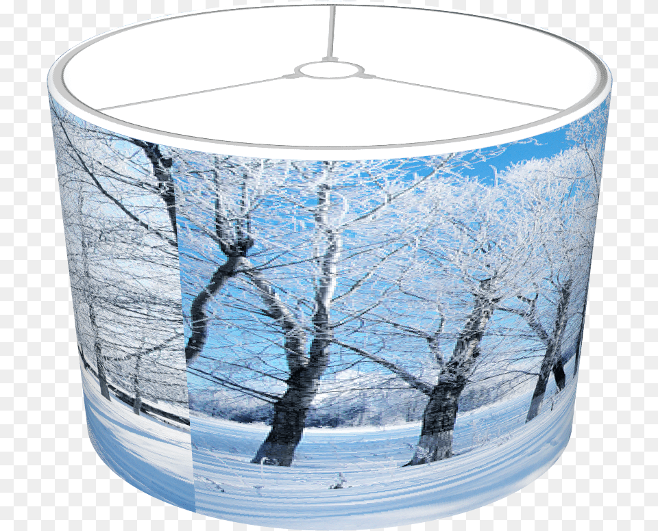 Winter Snows Scene Birch, Lamp, Plant, Tree, Ice Free Transparent Png