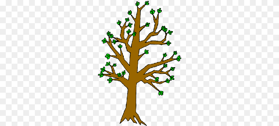Winter Tree Bud Clipart, Plant, Tree Trunk, Leaf, Potted Plant Png Image