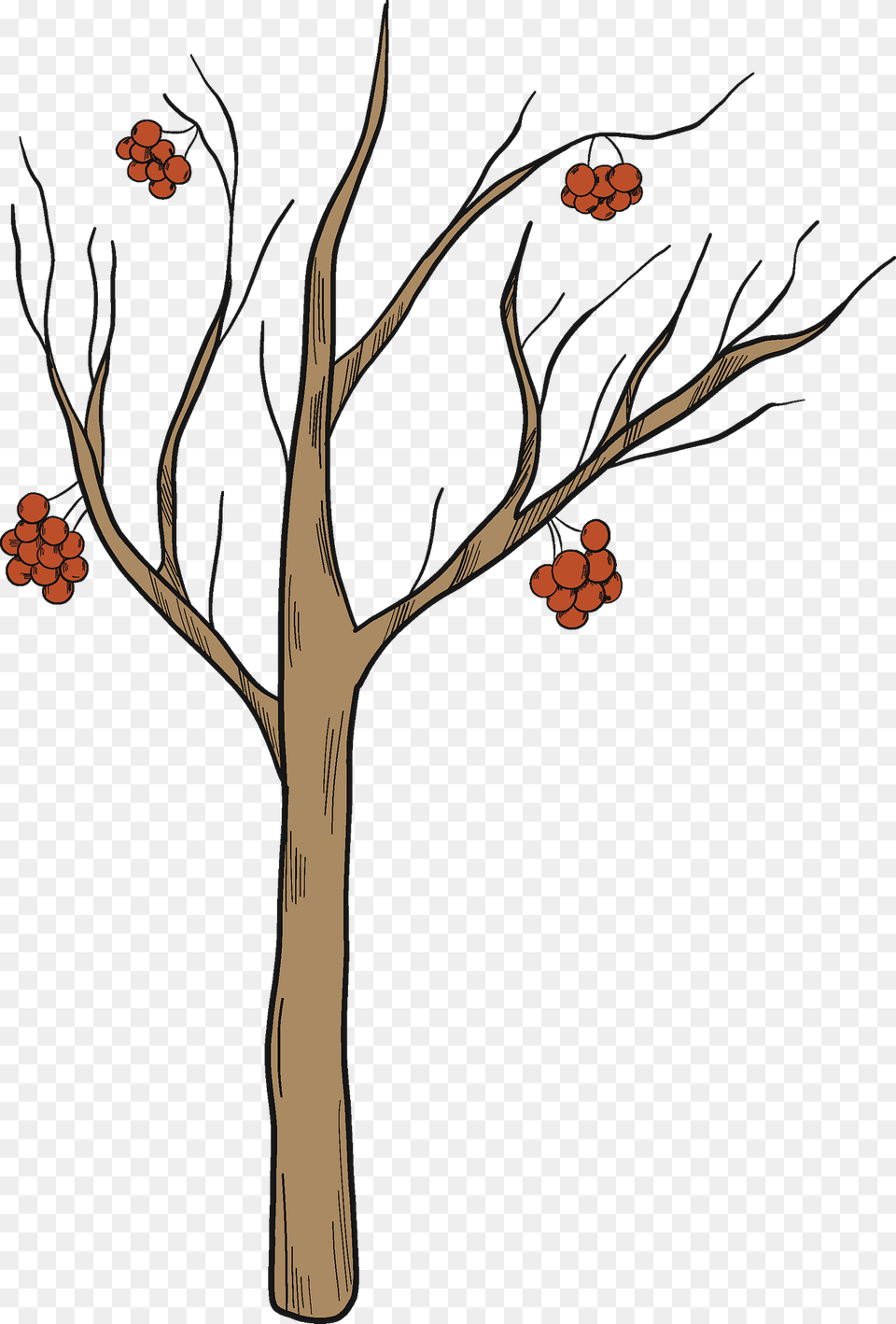 Winter Tree Clipart, Art, Pattern, Painting, Plant Free Png