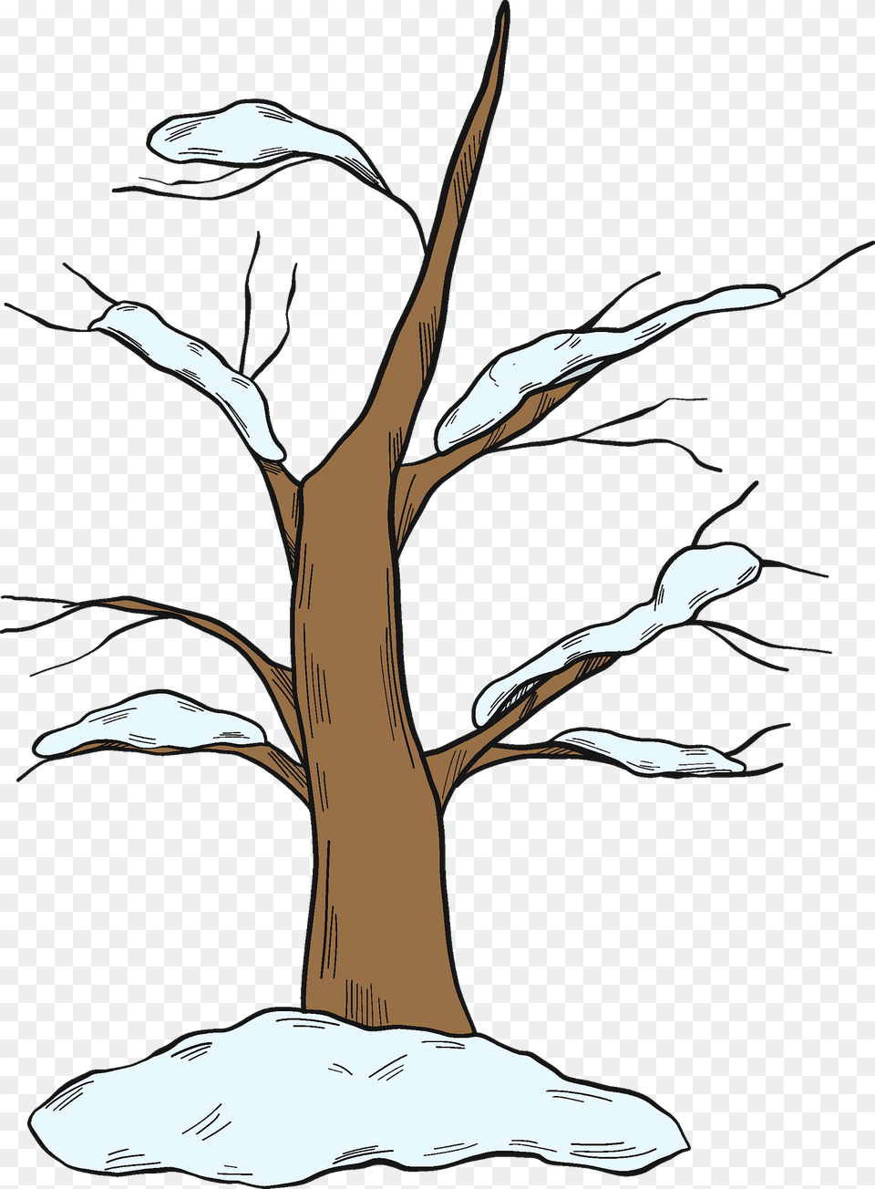 Winter Tree Clipart, Plant, Tree Trunk, Art, Wood Free Png