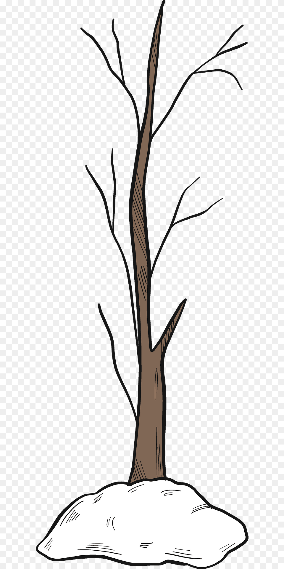 Winter Tree Clipart, Plant, Tree Trunk, Wood, Art Png Image