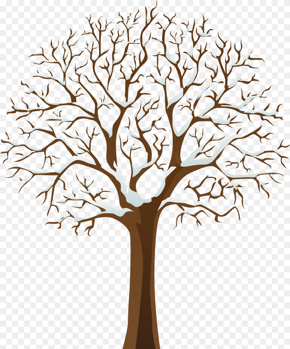 Winter Tree Clipart, Plant, Wood, Art, Tree Trunk Free Transparent Png