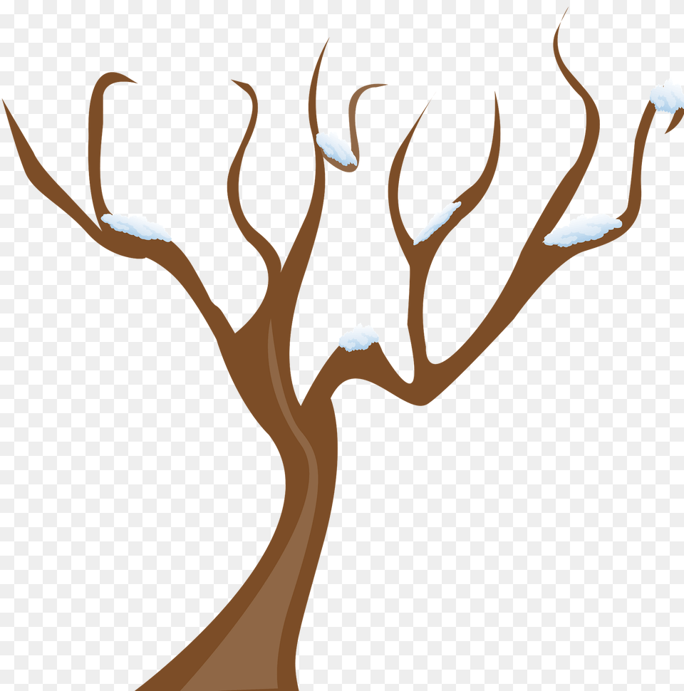 Winter Tree Clipart, Plant, Outdoors, Art, Nature Free Transparent Png
