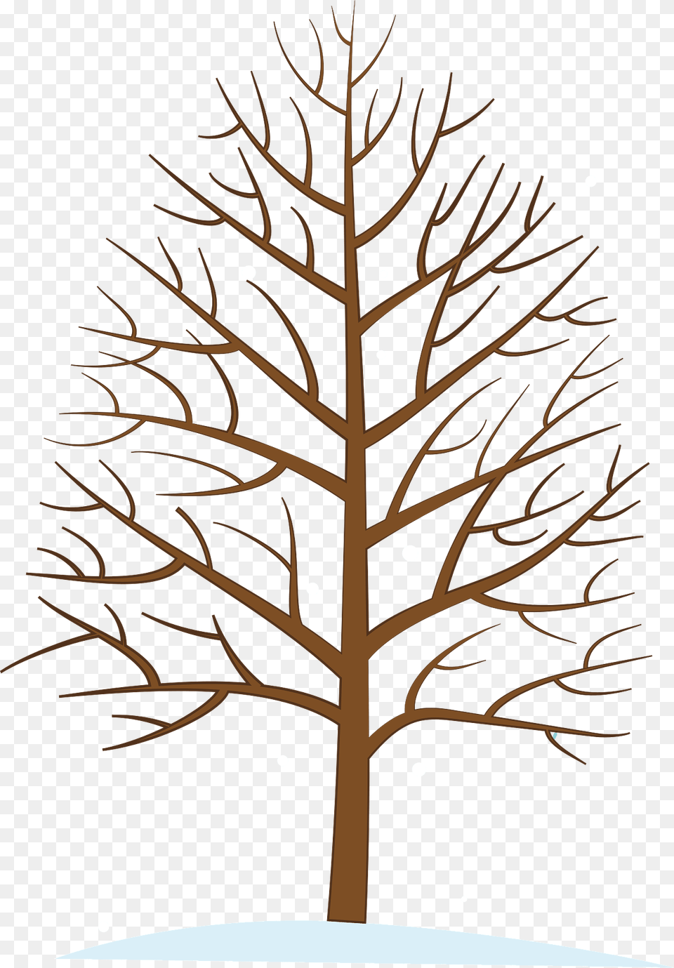 Winter Tree Clipart, Plant, Outdoors Png Image