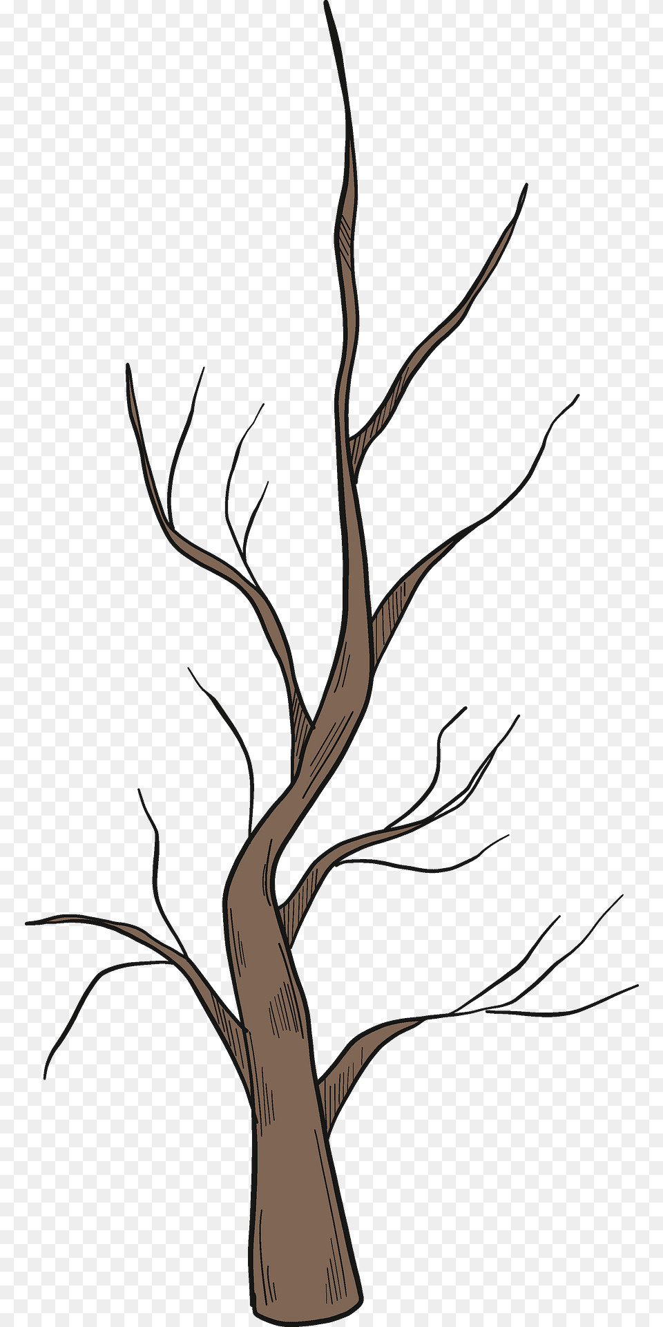 Winter Tree Clipart, Plant, Tree Trunk, Art, Wood Png