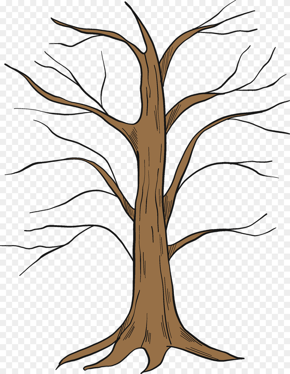 Winter Tree Clipart, Plant, Tree Trunk, Wood, Art Png