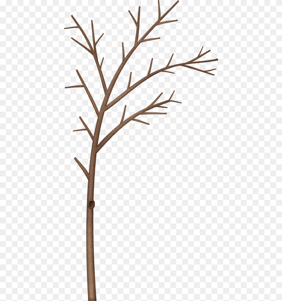 Winter Tree Clipart At Getdrawings Clip Art Tree Limb Borders, Plant Png