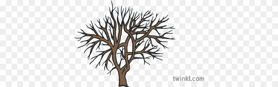 Winter Tree Illustration Twinkl Months Of The Year In Isixhosa, Plant, Art, Pattern, Outdoors Png Image