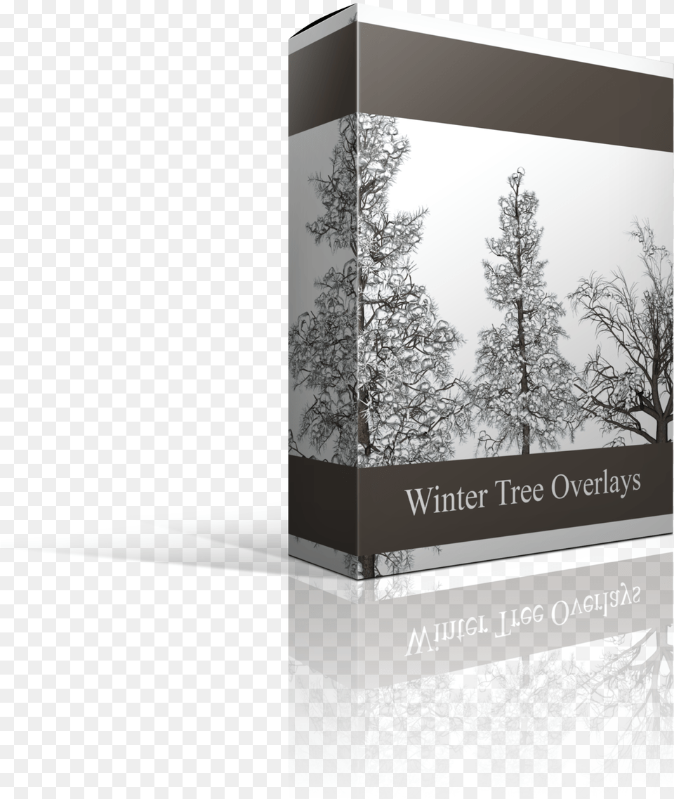 Winter Tree Overlays Spruce, Vegetation, Plant, Book, Publication Free Png Download