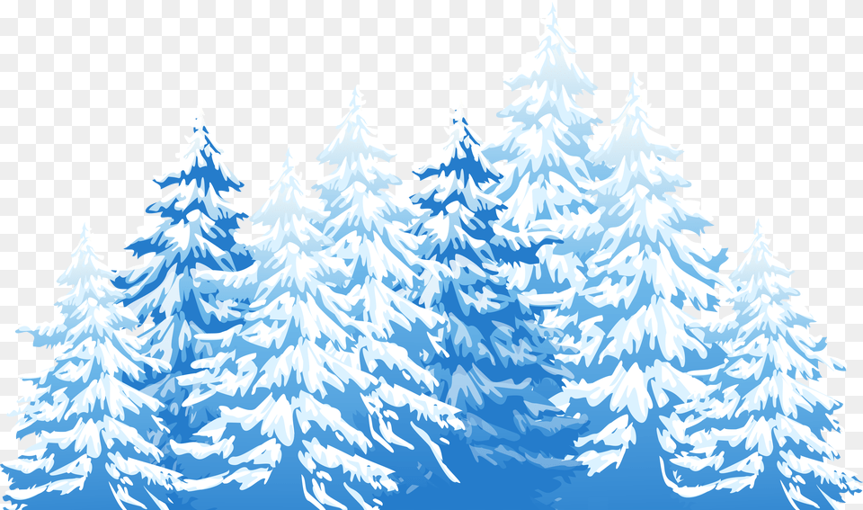 Winter Trees Cliparts Download Winter, Fir, Tree, Plant, Ice Free Png