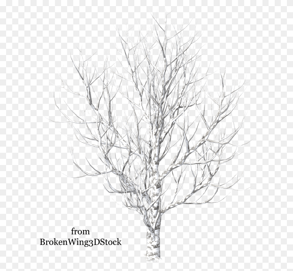 Winter Trees Drawing At Getdrawings Portable Network Graphics, Plant, Tree, Art, Ice Free Transparent Png