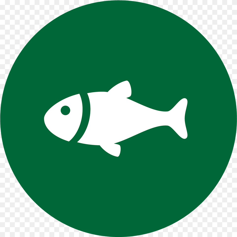 Wintergreen Sporting Club Annual Membership For One Person U2014 Green Fish Icon, Animal, Sea Life, Shark Png