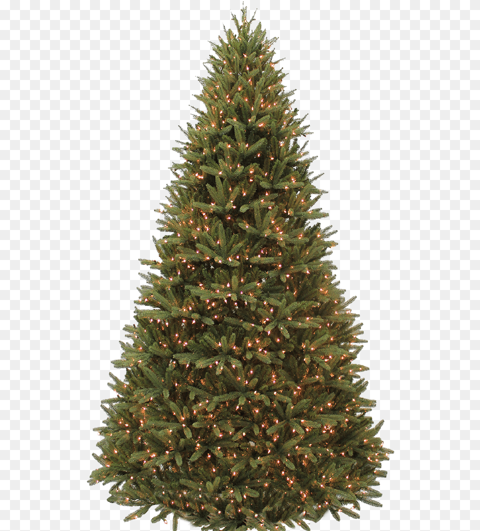 Wintergreen Tree, Plant, Pine, Christmas, Christmas Decorations Free Png Download