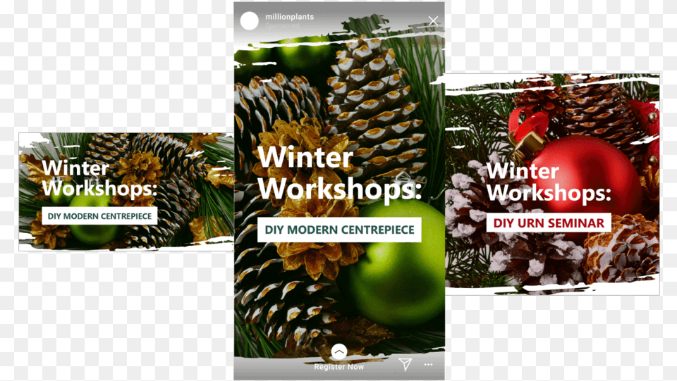 Winterworkshops, Conifer, Plant, Tree, Art Free Png