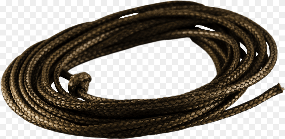 Wire, Rope, Animal, Reptile, Snake Png Image