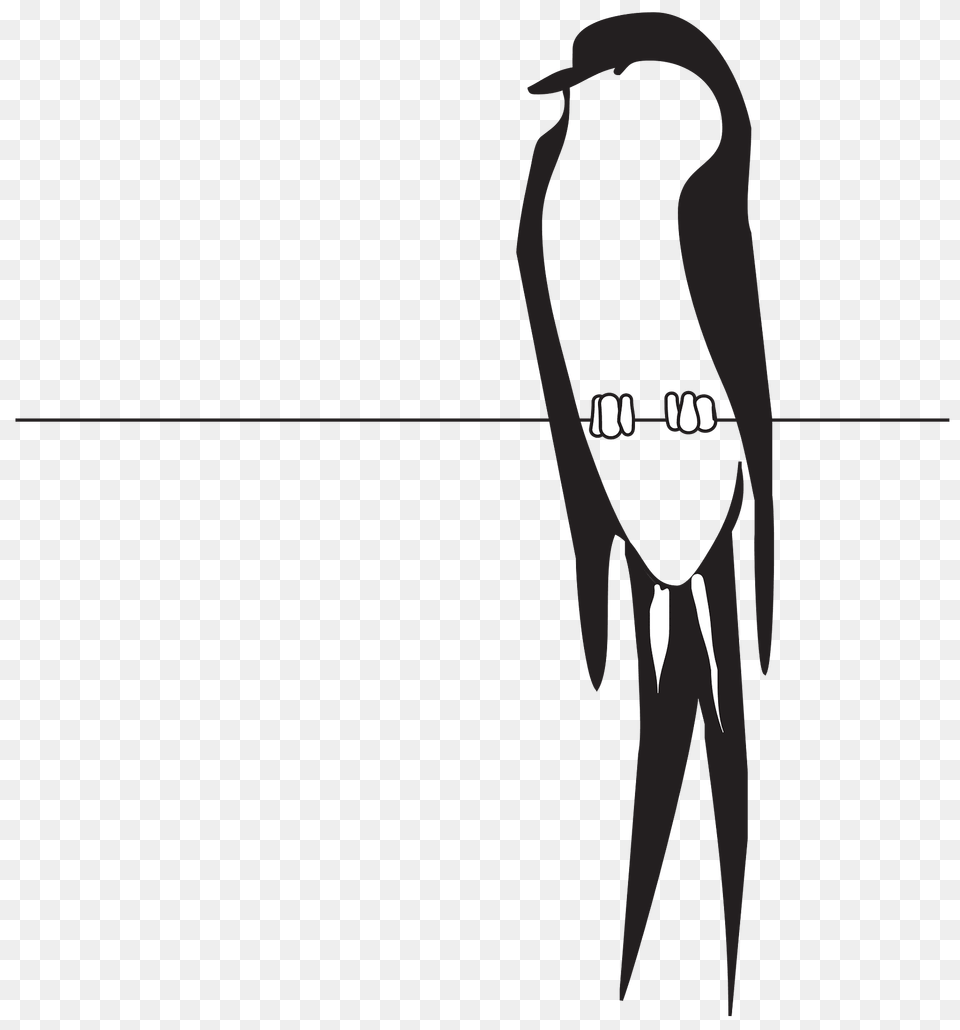 Wire Clipart, Animal, Bird, Swallow Free Transparent Png