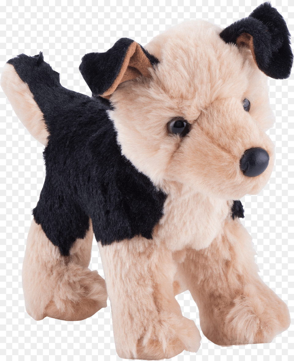Wire Hair Fox Terrier, Plush, Toy, Animal, Canine Png