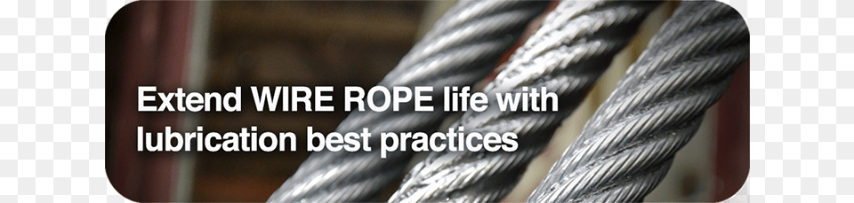Wire Ropes Wire Rope Grease Chaal, Animal, Bird Png Image