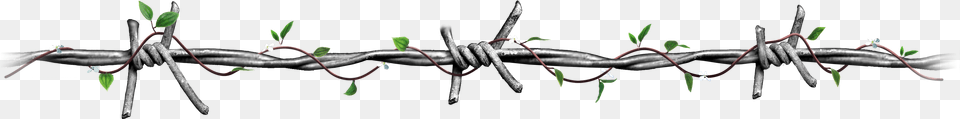 Wire Scum, Barbed Wire Free Png