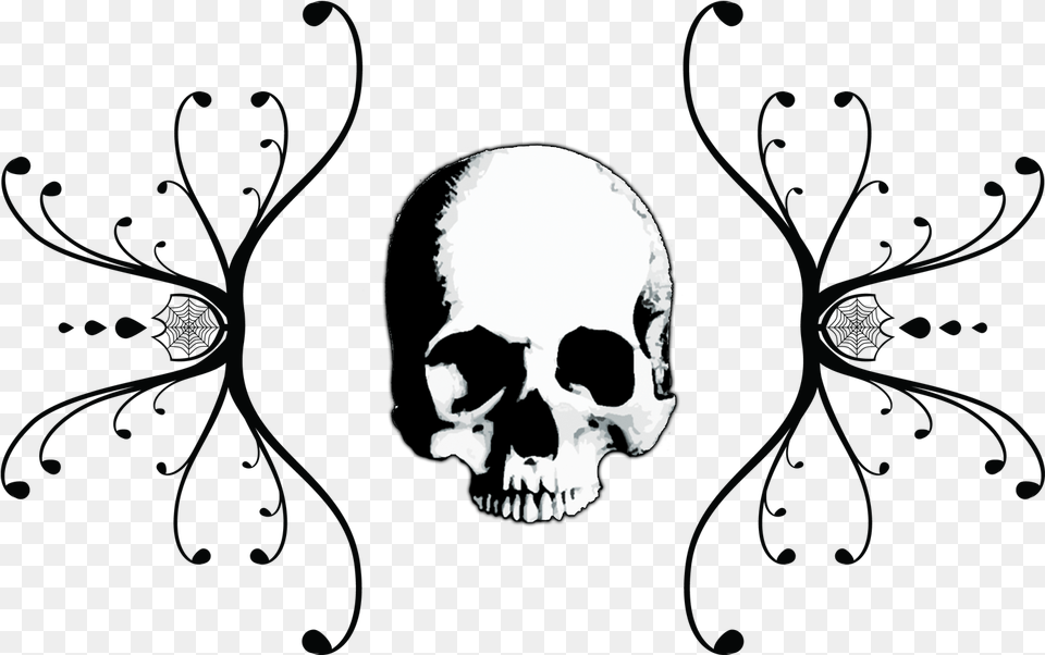 Wirran Skull Filigree, Adult, Male, Man, Person Png