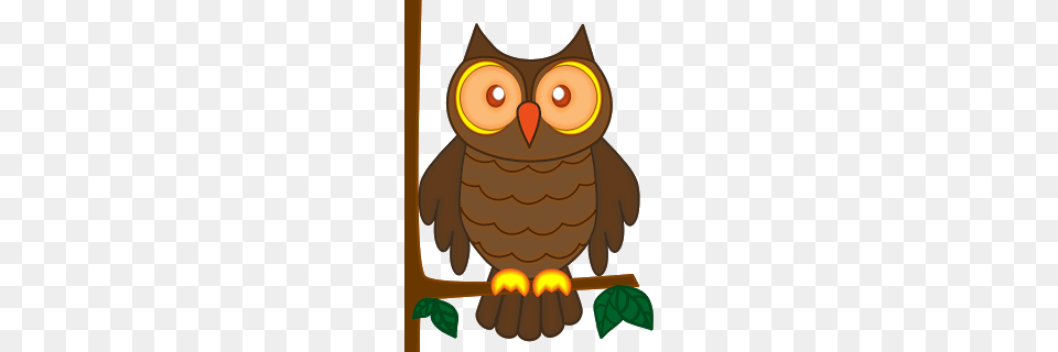 Wise Owl For A Classroom Library Display Classroom Treasures, Animal, Bird, Beak, Bear Png