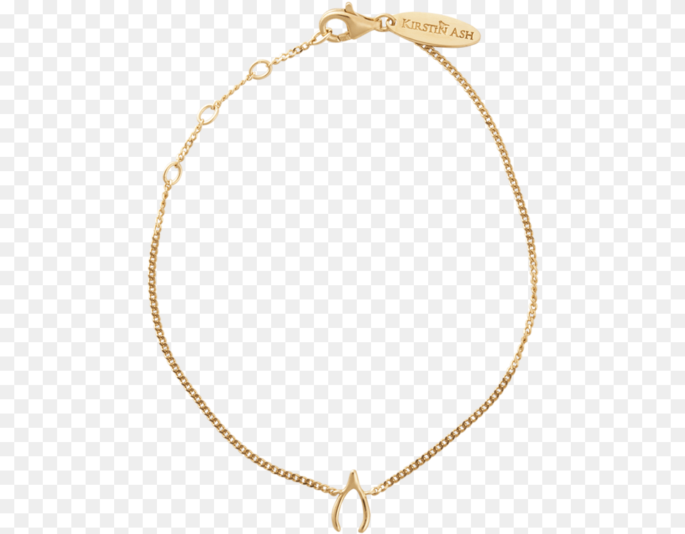 Wishbone Charm Bracelet Image Download Necklace, Accessories, Jewelry Png