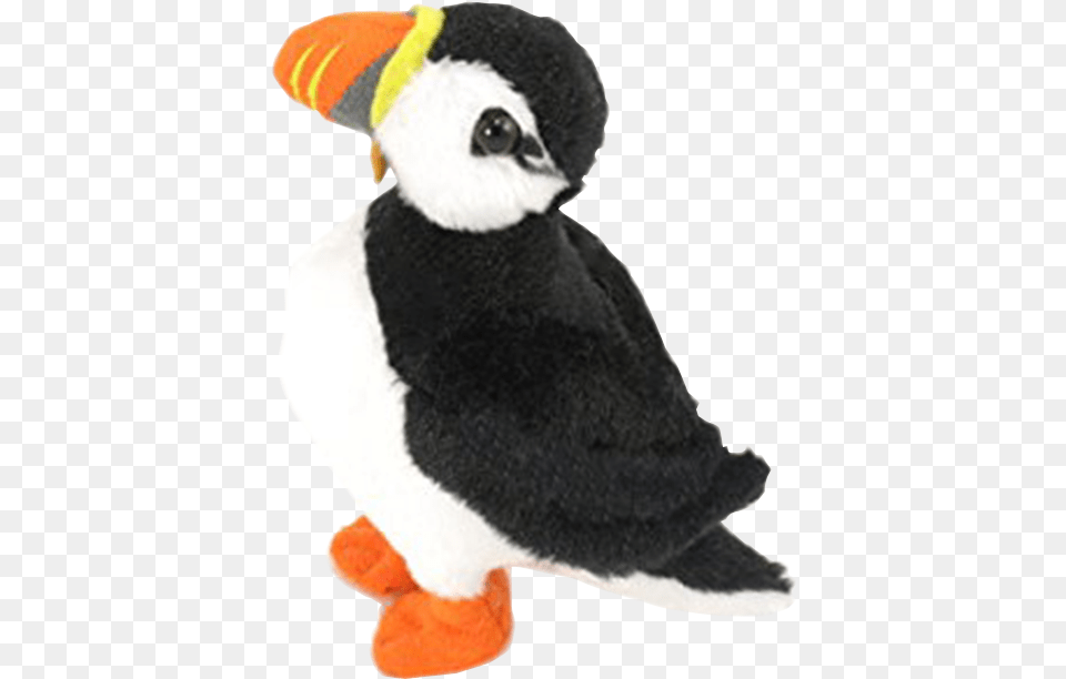 Wishpets 6 Atlantic Puffin, Animal, Bird, Bear, Mammal Free Png Download