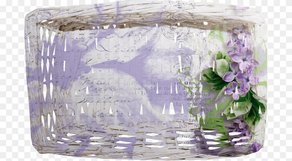 Wisteria, Flower, Petal, Plant, Purple Png Image