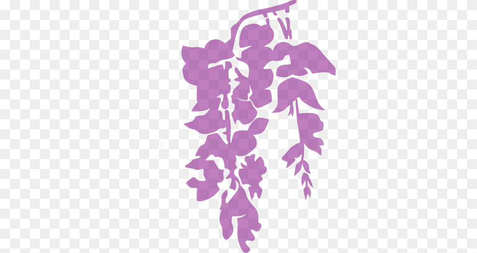 Wisteria Ridge, Flower, Plant, Purple, Petal Free Transparent Png