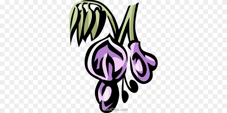 Wisteria Royalty Vector Clip Art Illustration, Flower, Plant, Purple, Smoke Pipe Free Png Download
