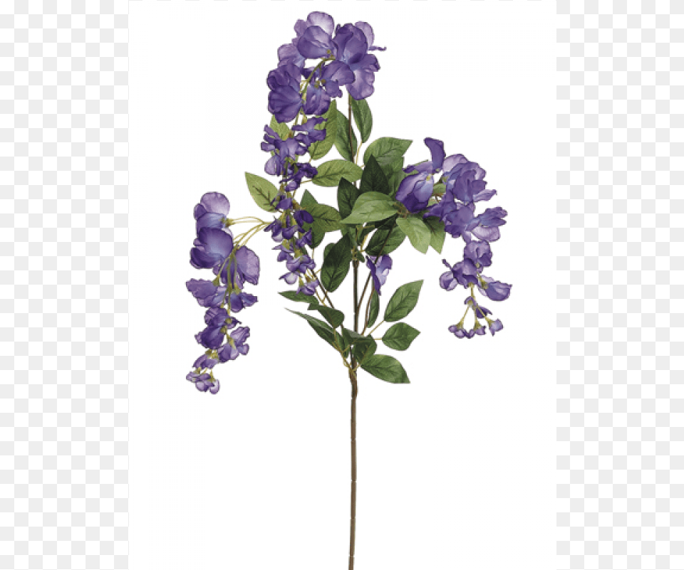 Wisteria Spray Purple Allstate Floral 38quot Wisteria Spray Purple Pack, Flower, Plant, Geranium, Petal Png Image