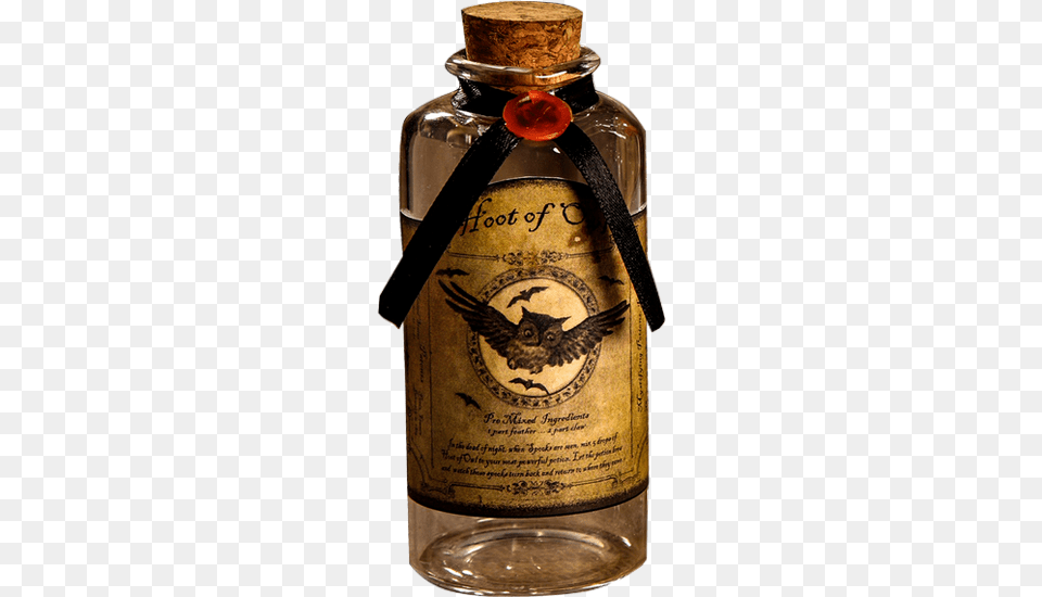 Witch, Jar, Animal, Bird, Bottle Free Png