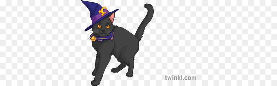 Witch Black Cat Halloween Spooky Cartoon Magic Black Cat, Clothing, Hat, Animal, Mammal Free Png Download