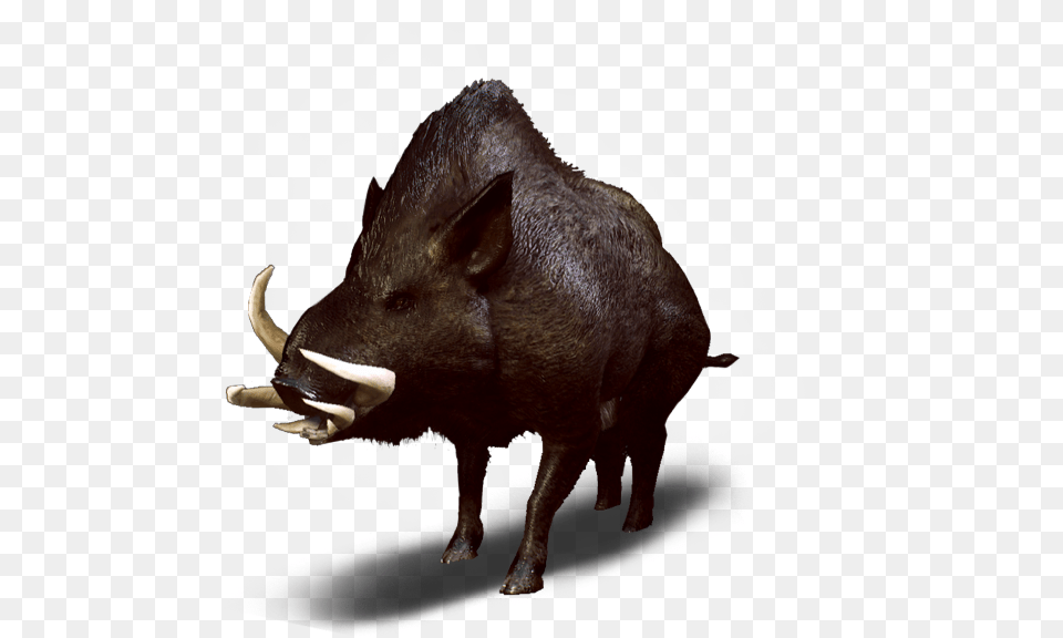 Witcher 3 Wild Boar, Animal, Hog, Mammal, Pig Free Transparent Png