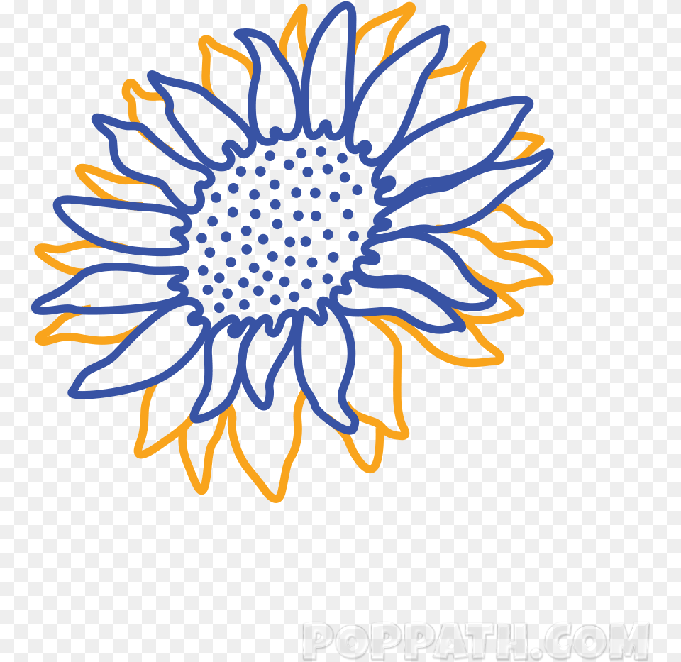 With A Hand Draw Various Cone Shaped Figures Sunflower Drawing, Daisy, Flower, Plant, Pattern Free Transparent Png