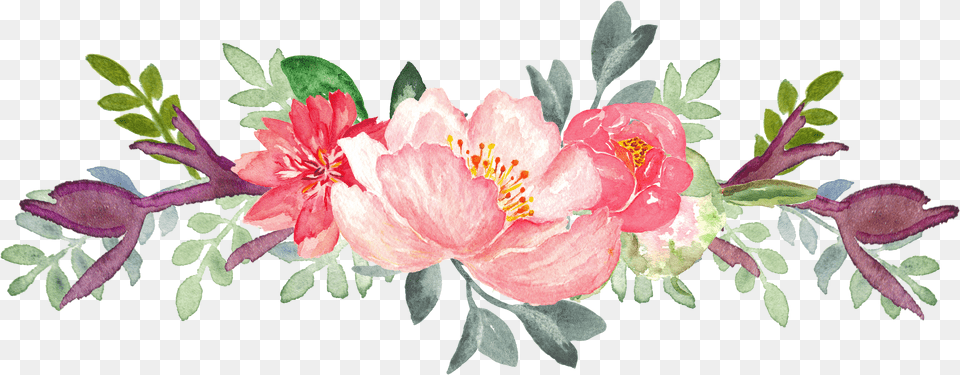With A New Year Comes New Adventures Japanese Camellia, Graphics, Art, Plant, Floral Design Png Image