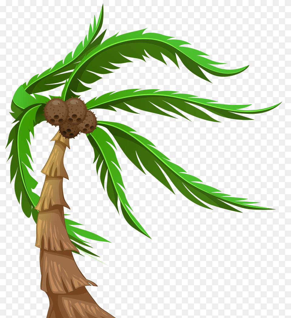 With Coconuts Transparent Clip Art Image Coconut Tree Transparent Background Coconut Tree Clip Art, Palm Tree, Plant, Green, Person Free Png